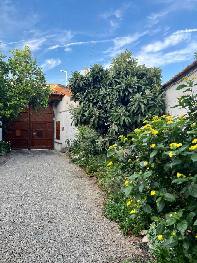 דירות San Sperate Casa Di Rosy מראה חיצוני תמונה